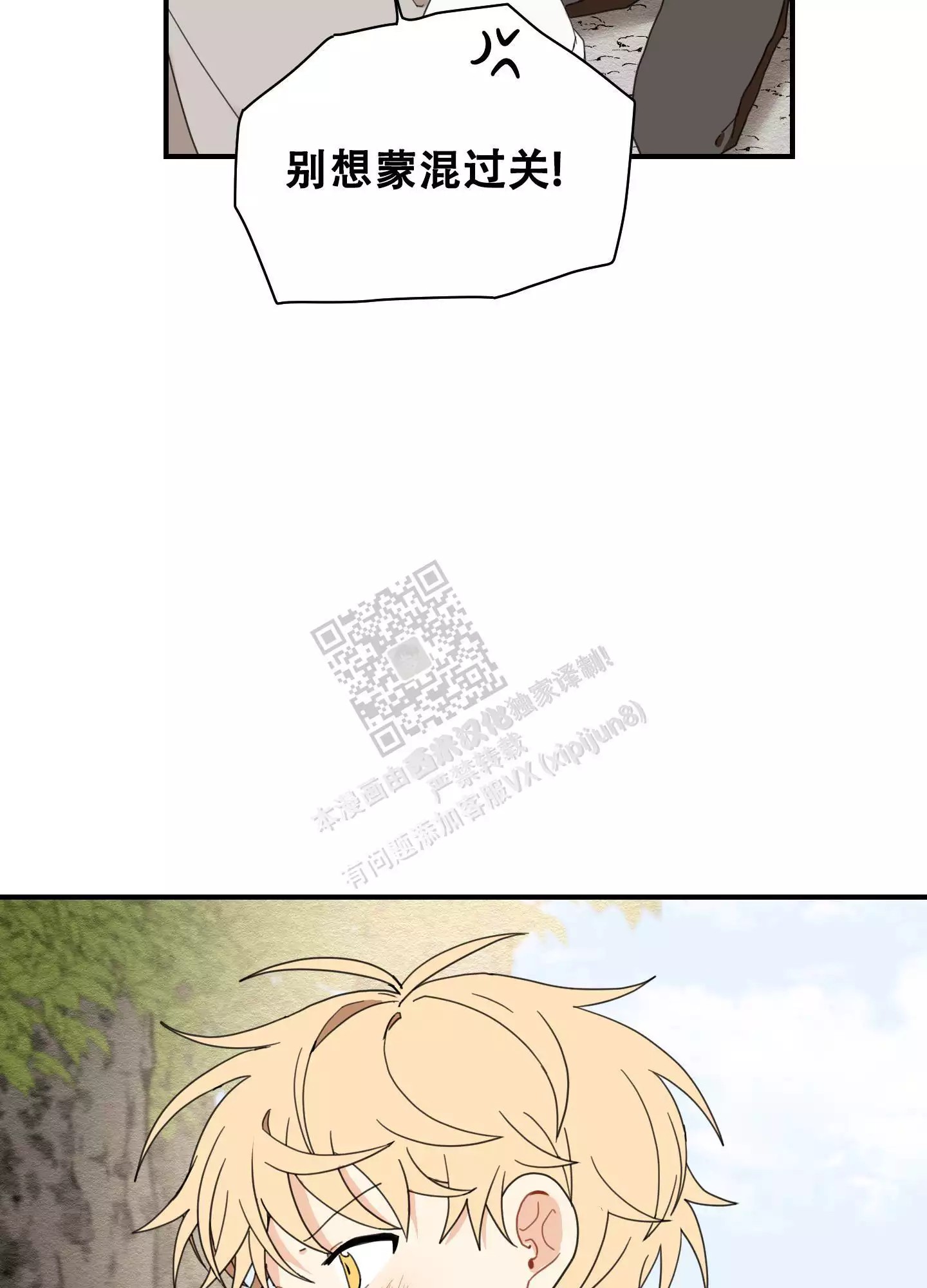 39.jpg