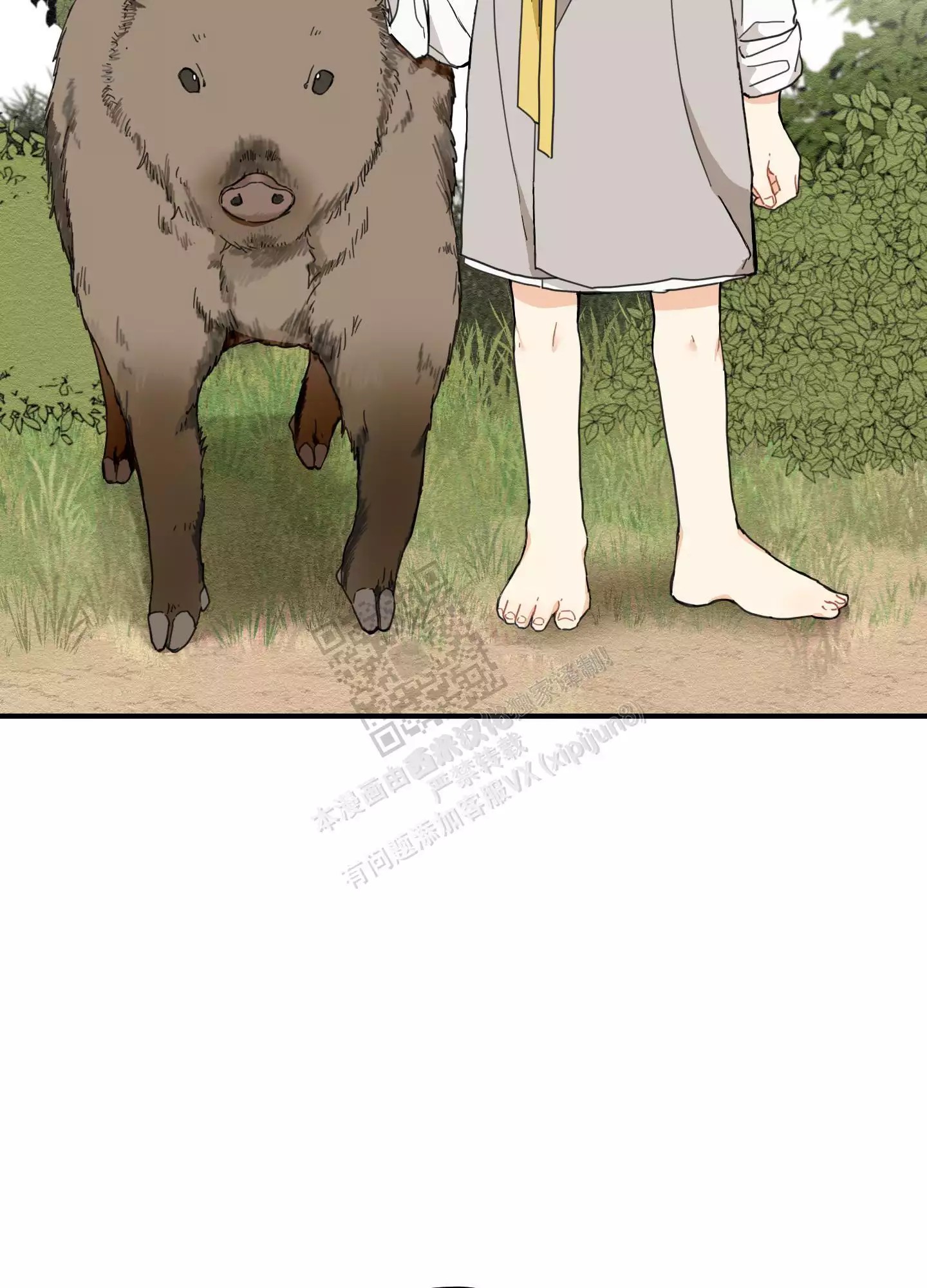 12.jpg