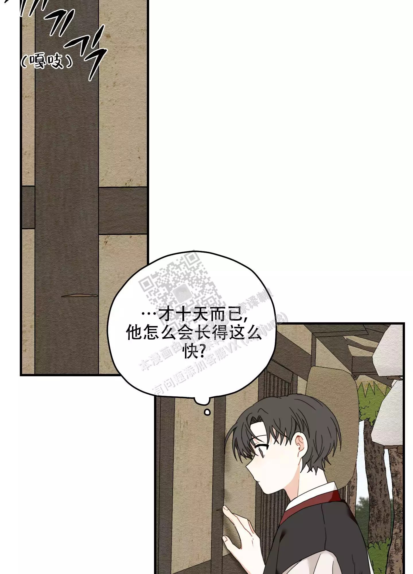 23.jpg