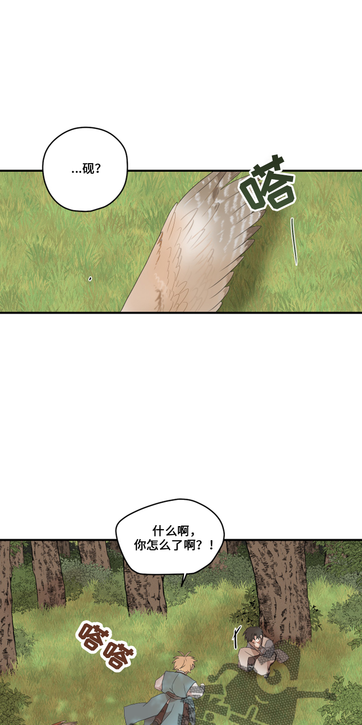 17.jpg