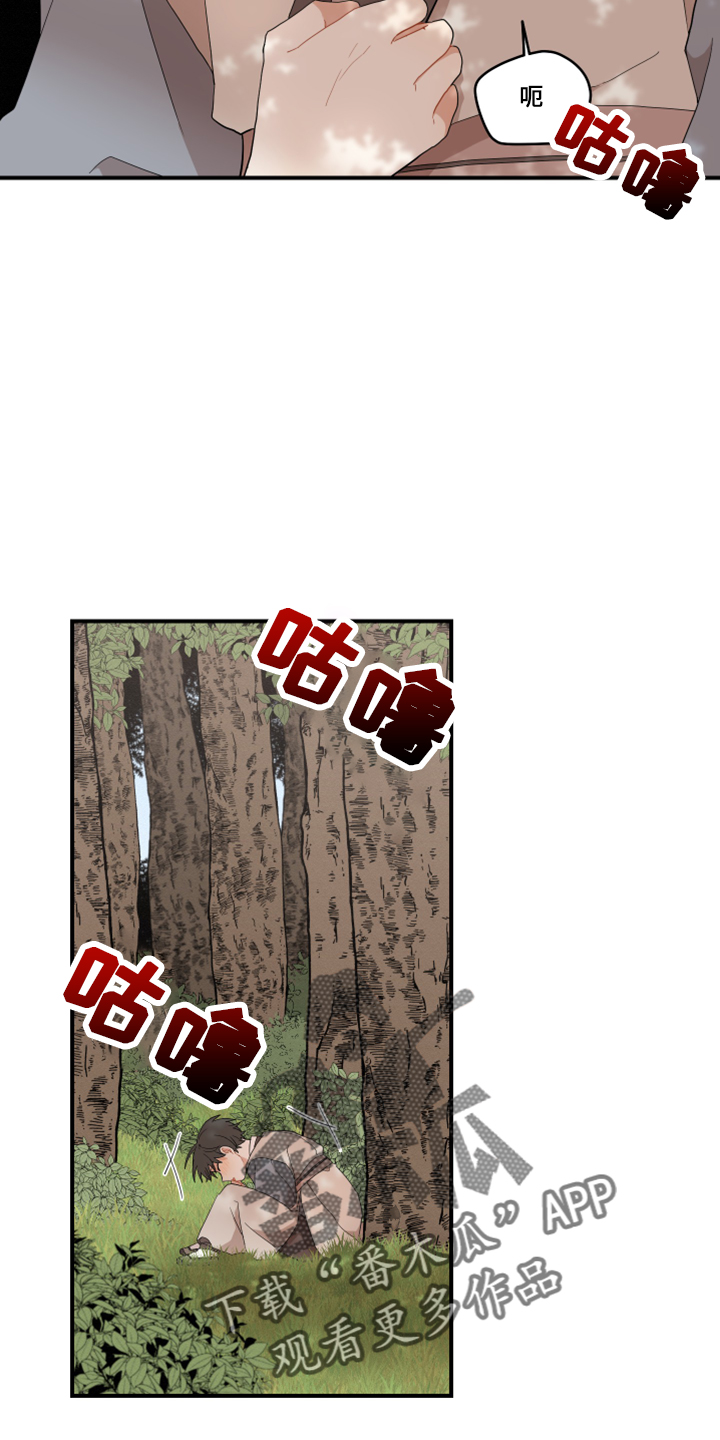 15.jpg