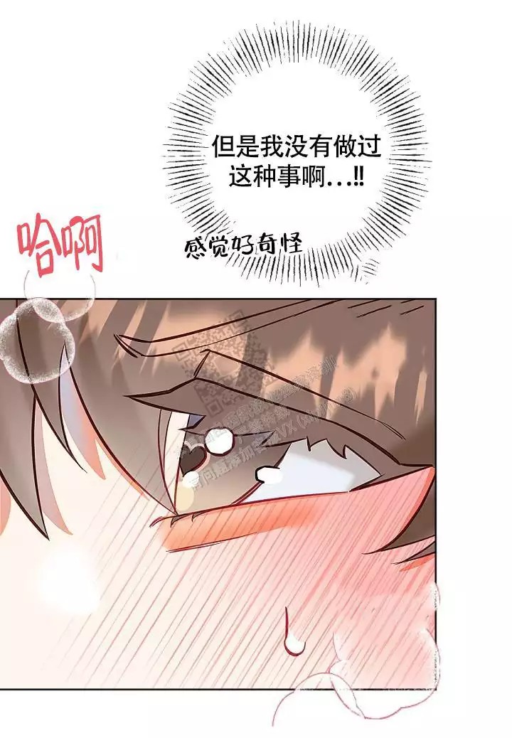 46.jpg