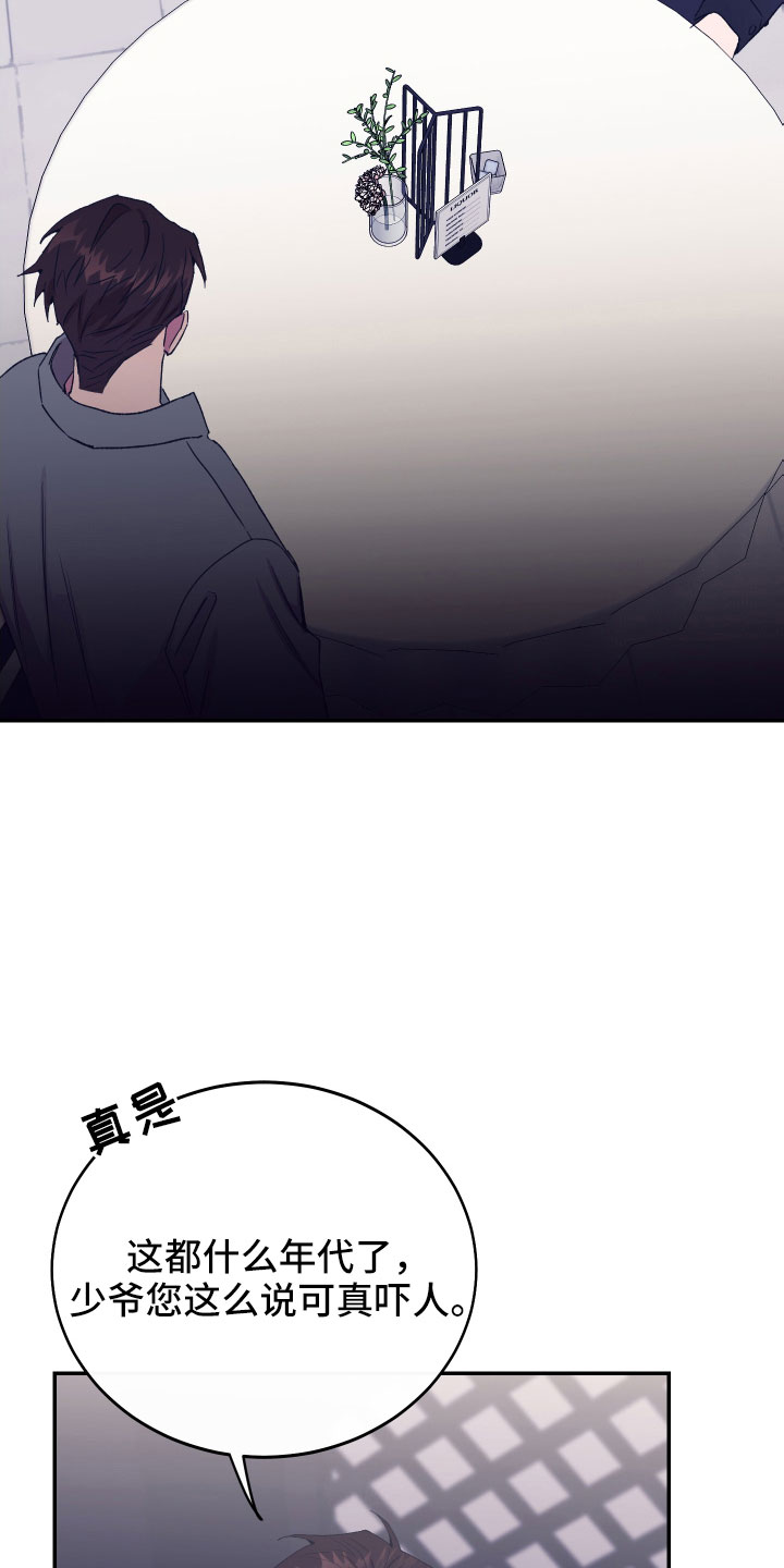 26.jpg
