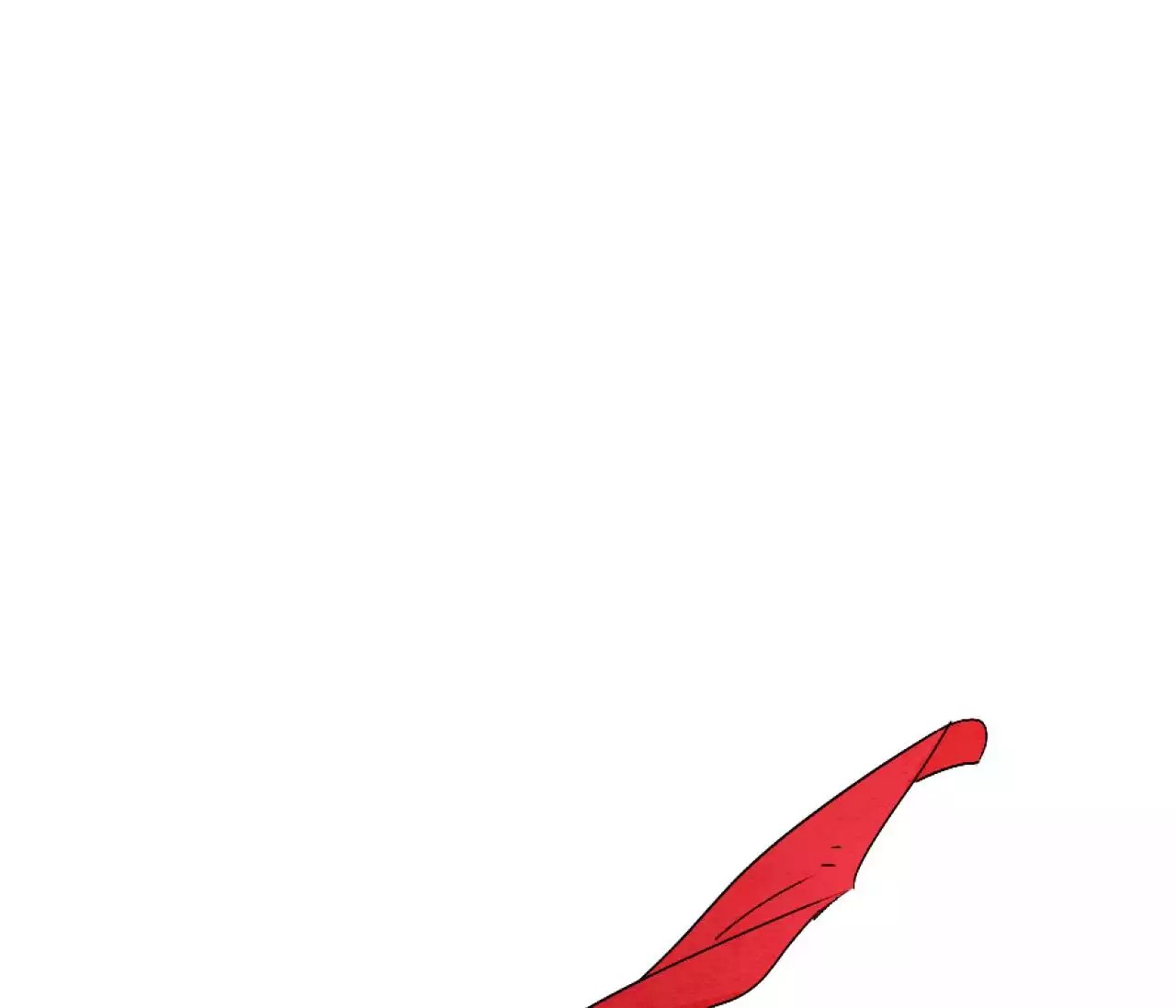 54.jpg