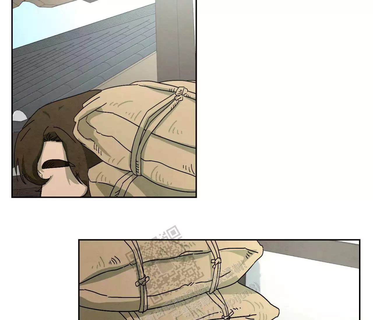 47.jpg