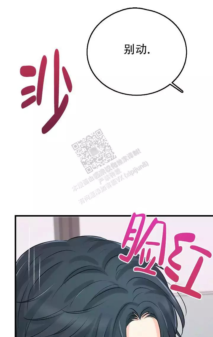47.jpg