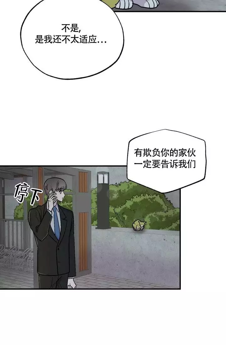 18.jpg