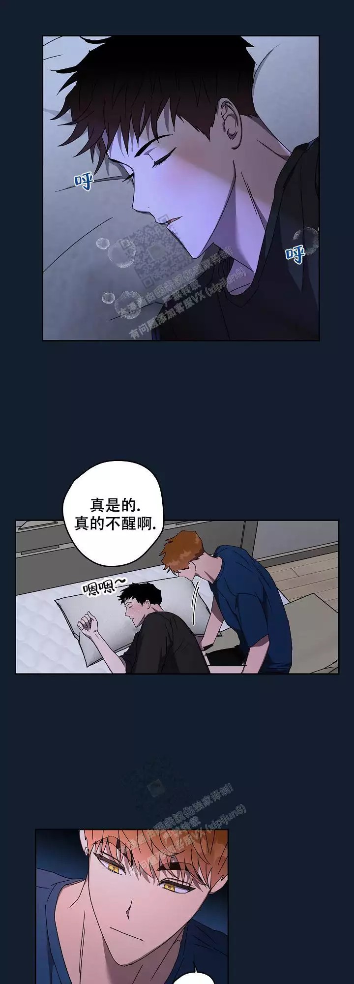 11.jpg