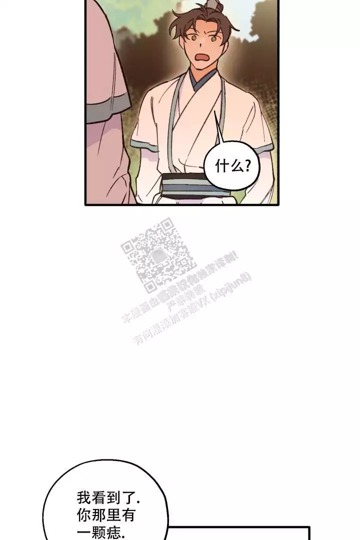 25.jpg