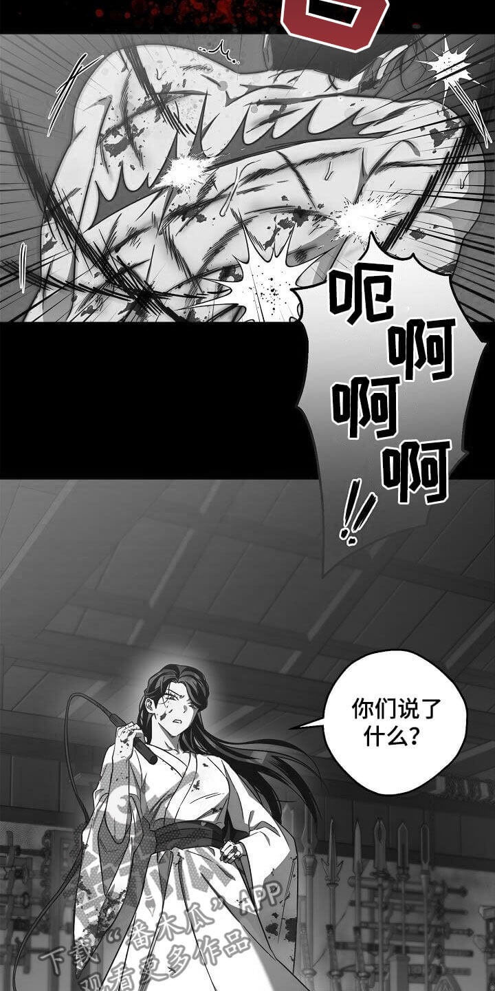 16.jpg