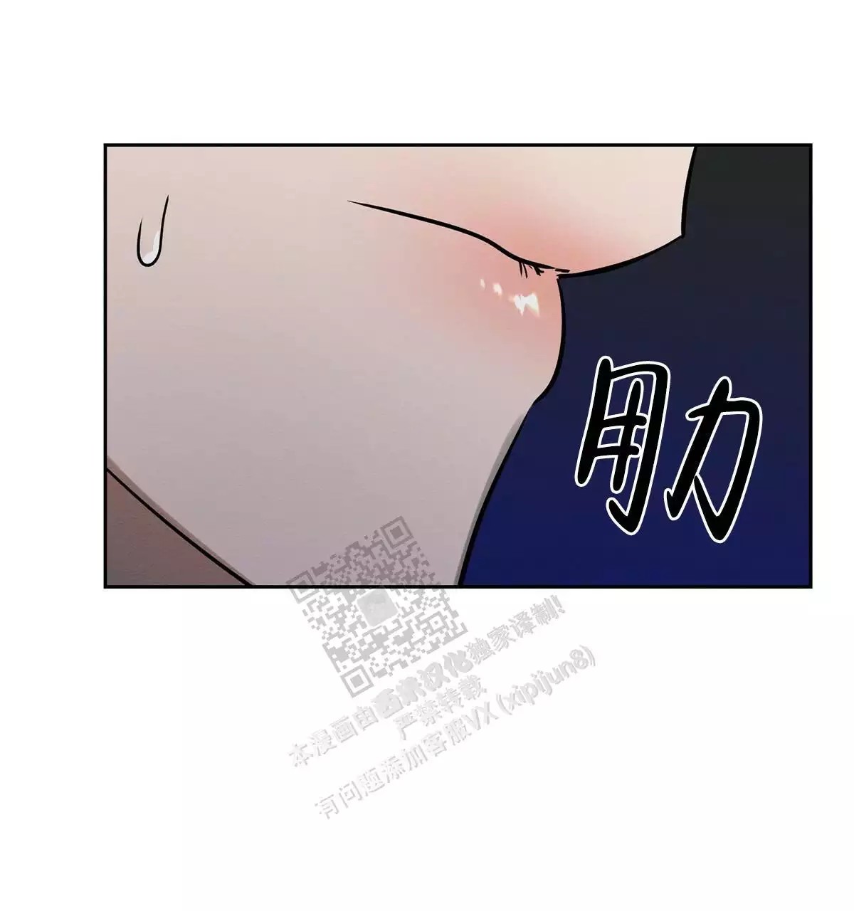 63.jpg