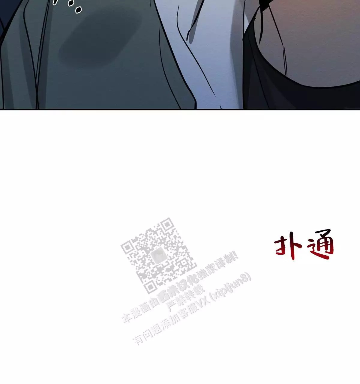 47.jpg