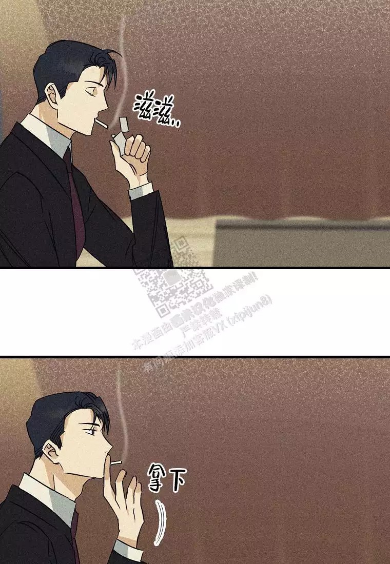 39.jpg