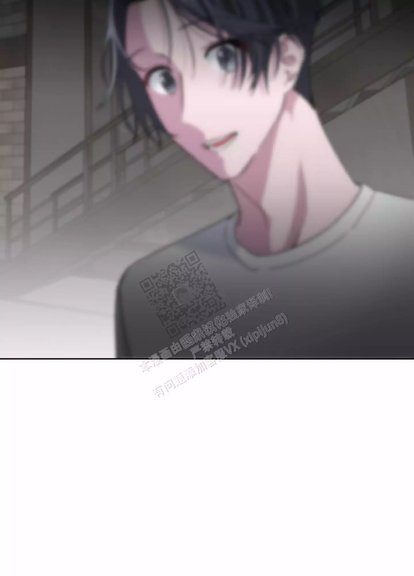 41.jpg