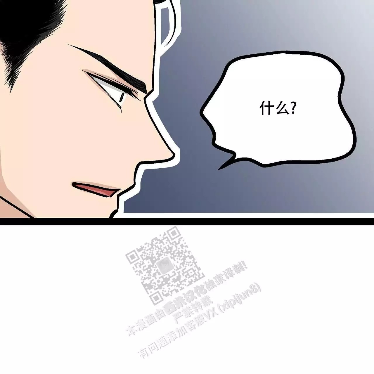 46.jpg