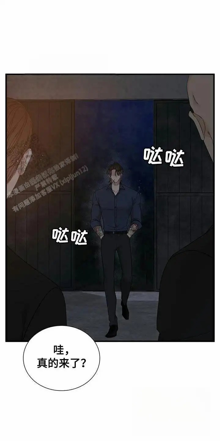 15.jpg