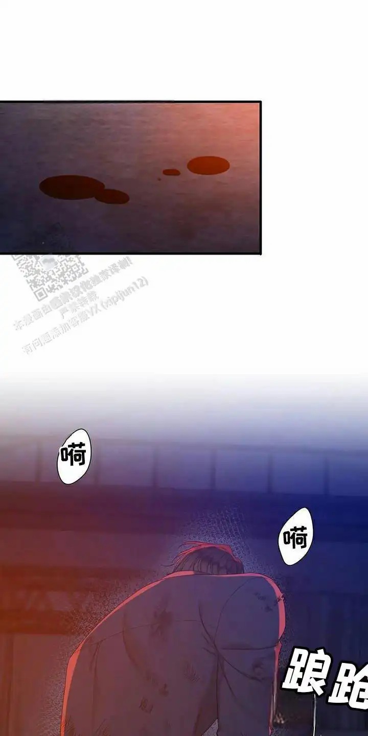 26.jpg