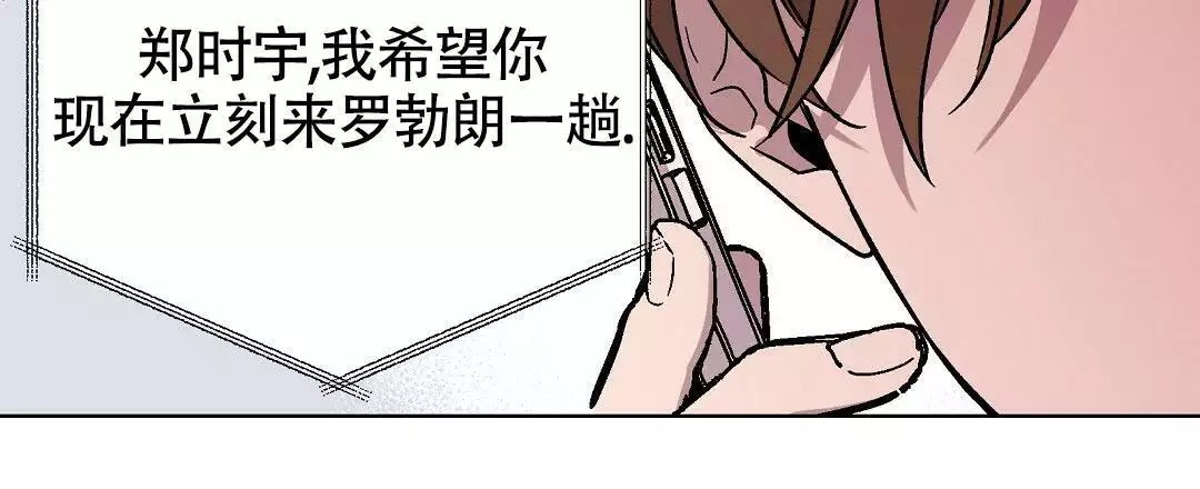 81.jpg