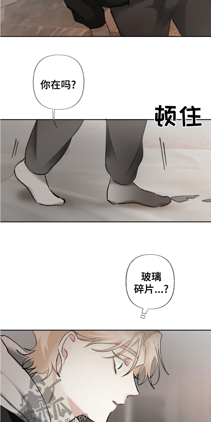 20.jpg