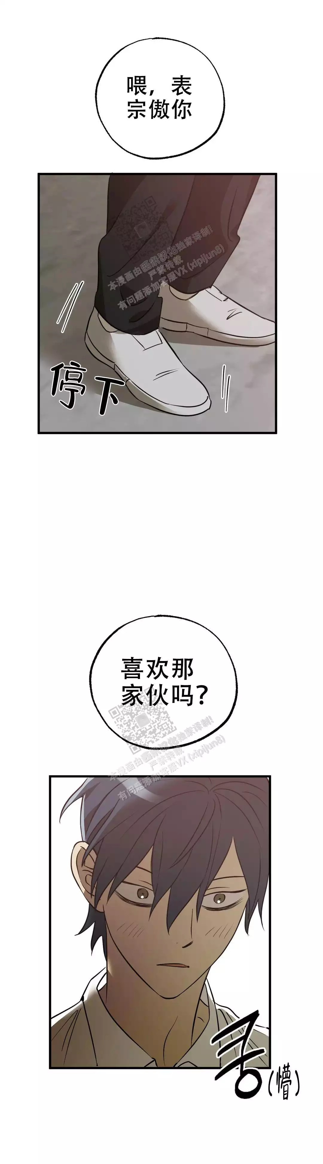 14.jpg