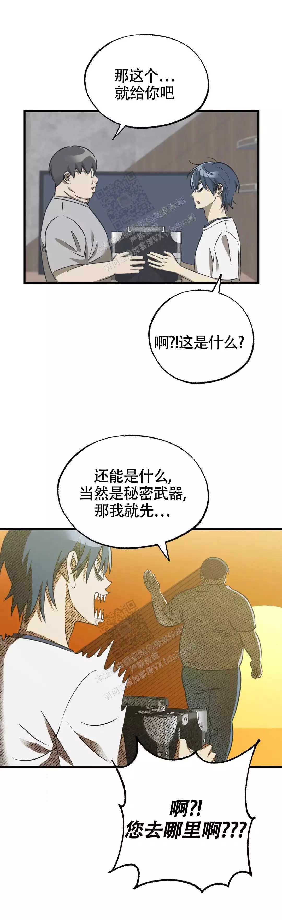 5.jpg