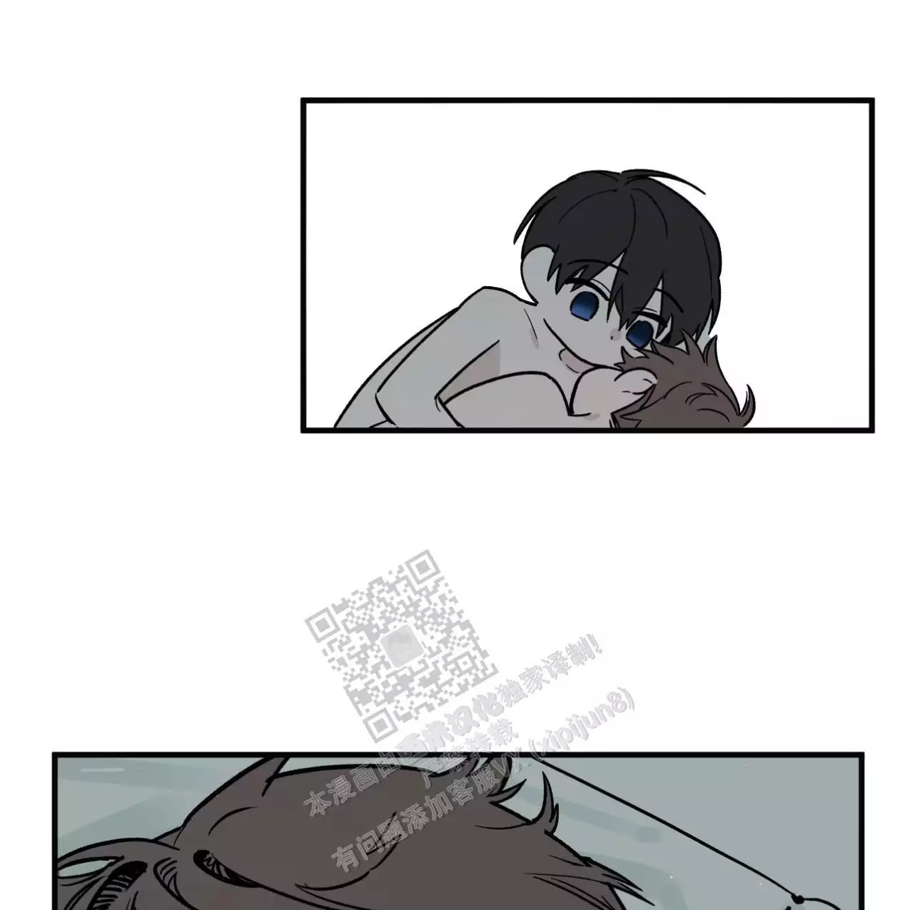 43.jpg