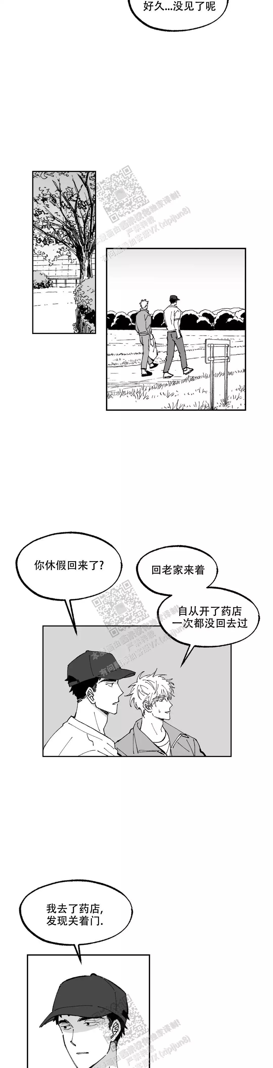 10.jpg
