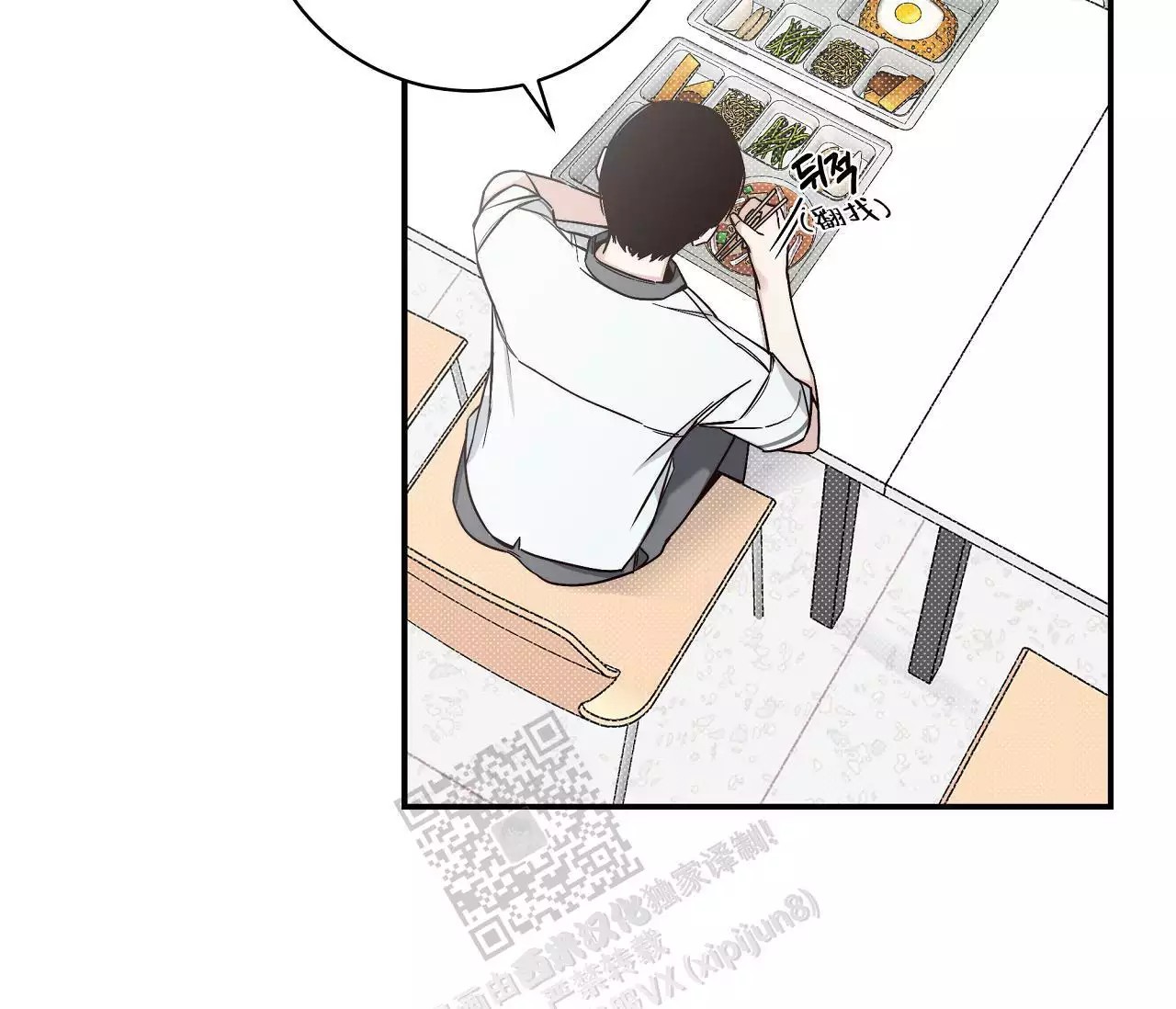 19.jpg