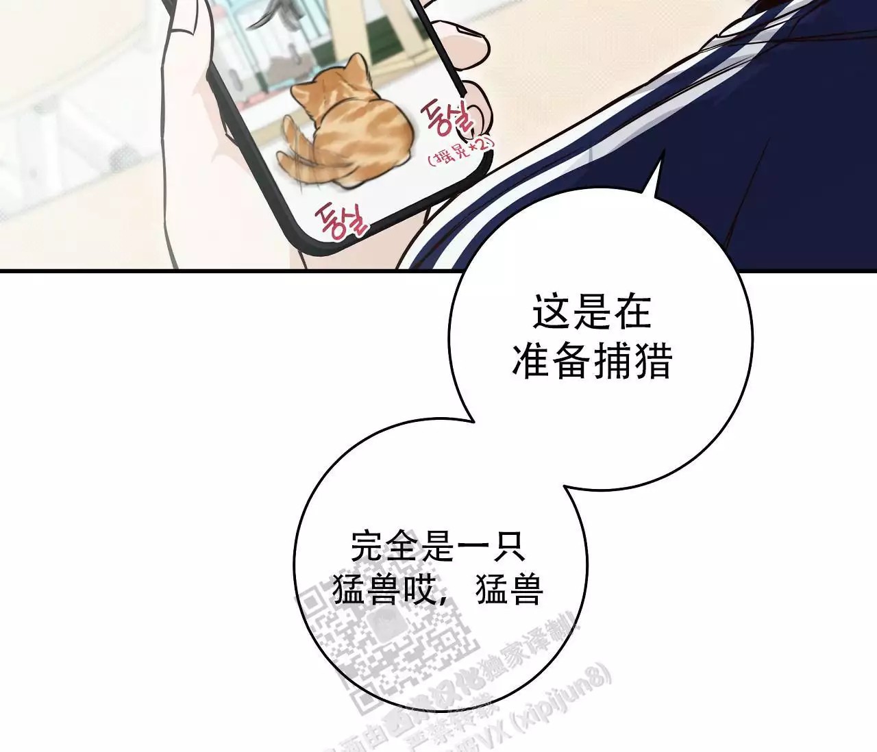 18.jpg