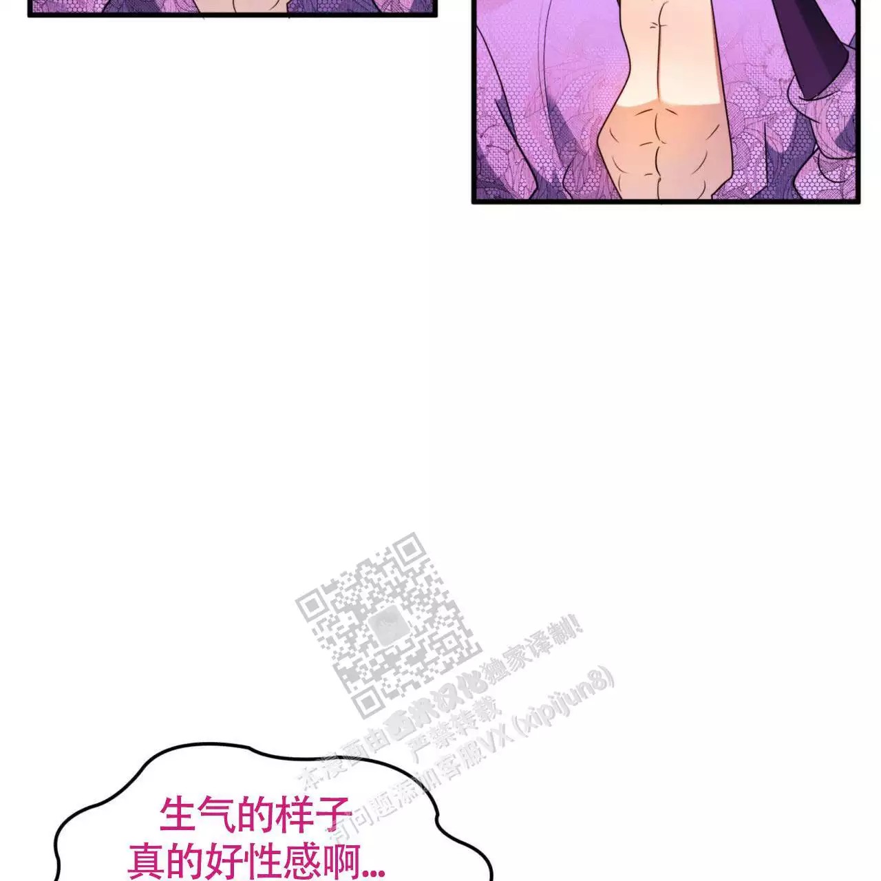 48.jpg