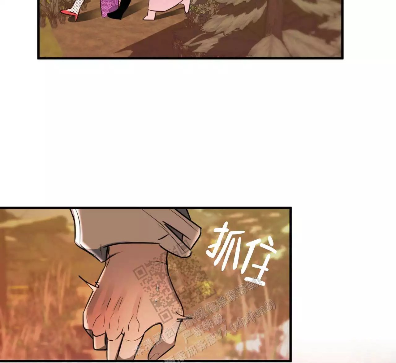 41.jpg