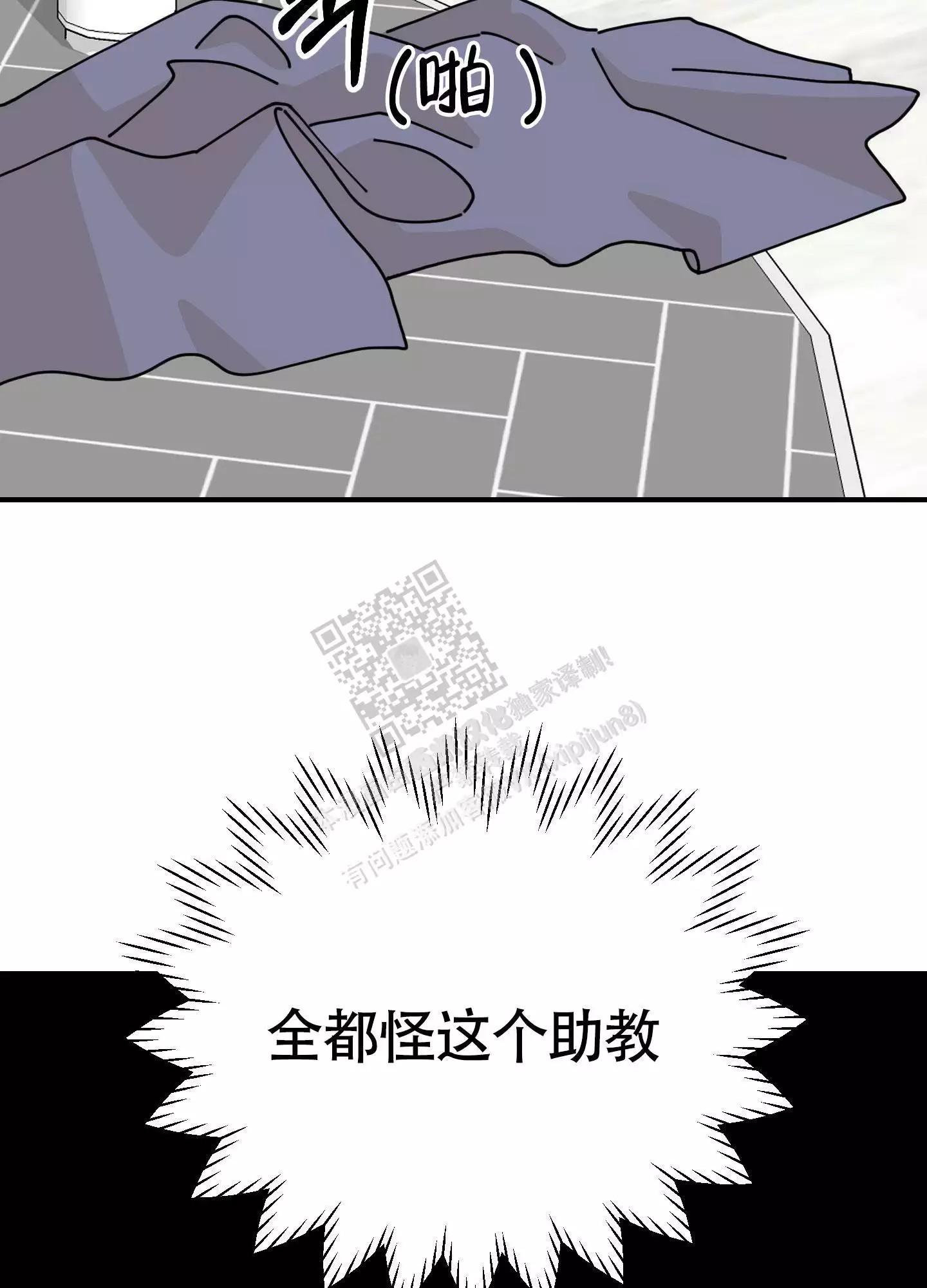 31.jpg