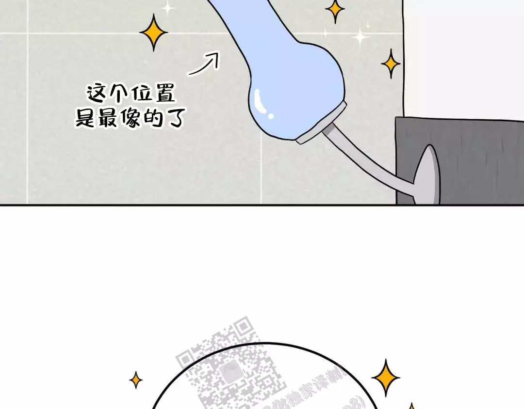81.jpg