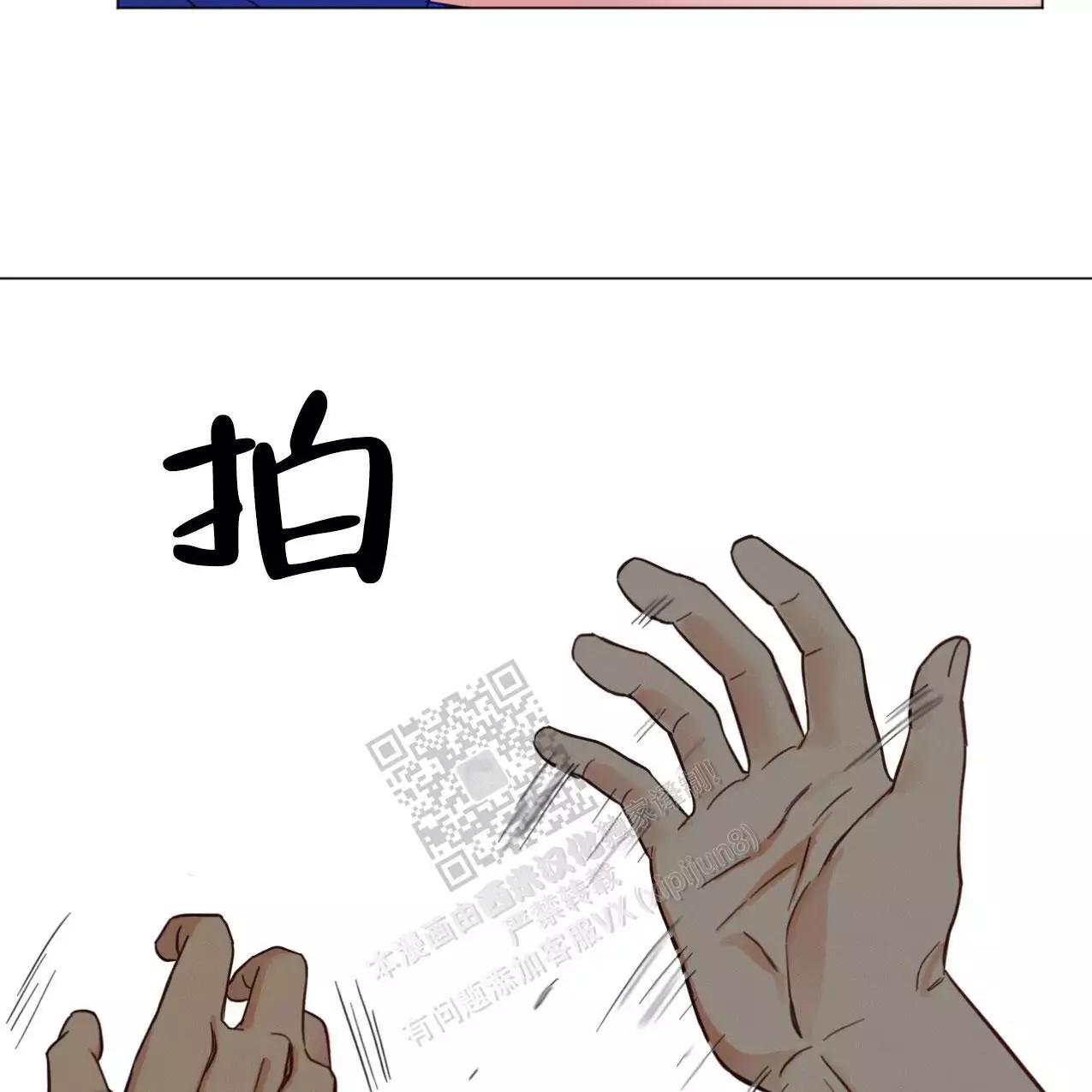 46.jpg
