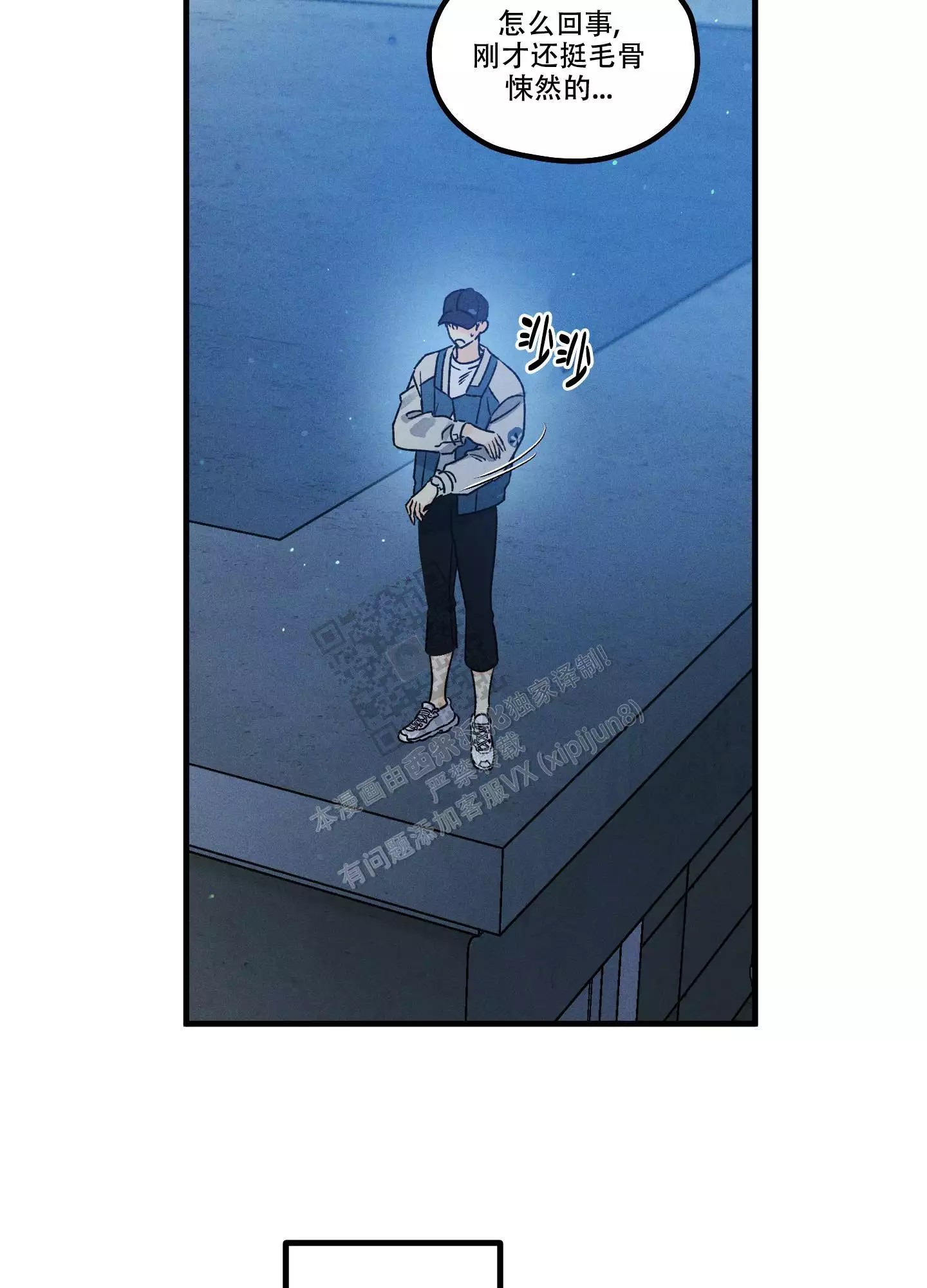 17.jpg
