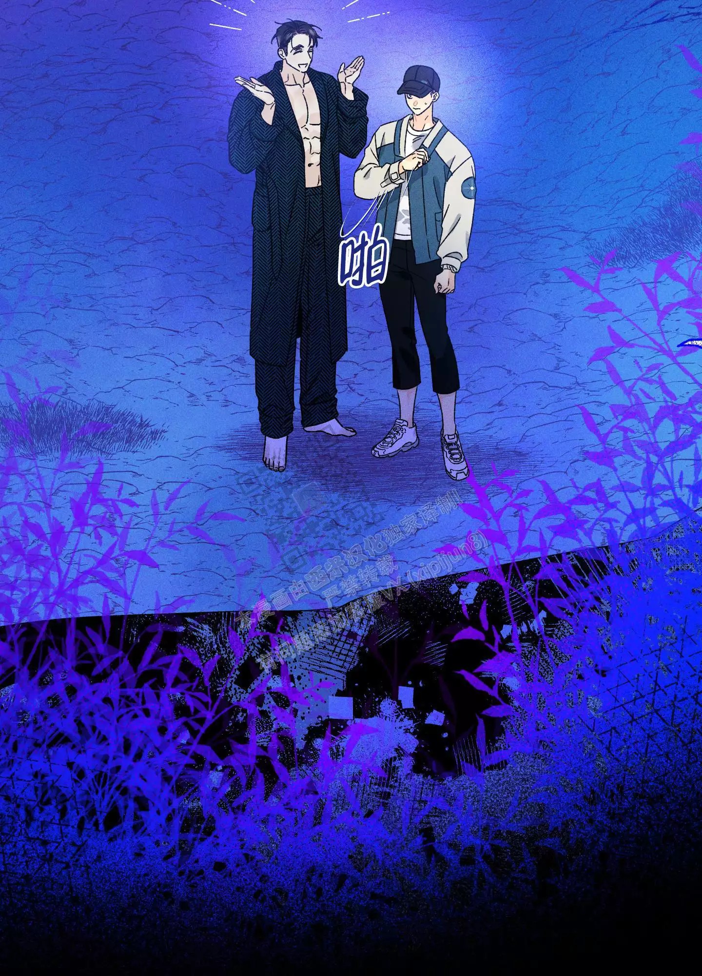 5.jpg