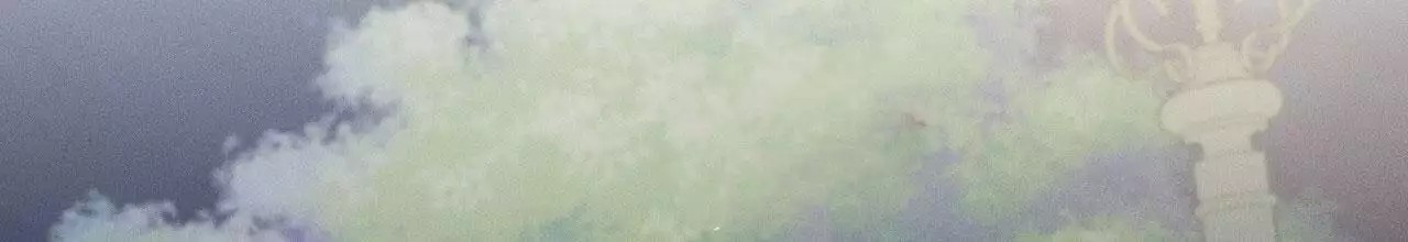 65.jpg