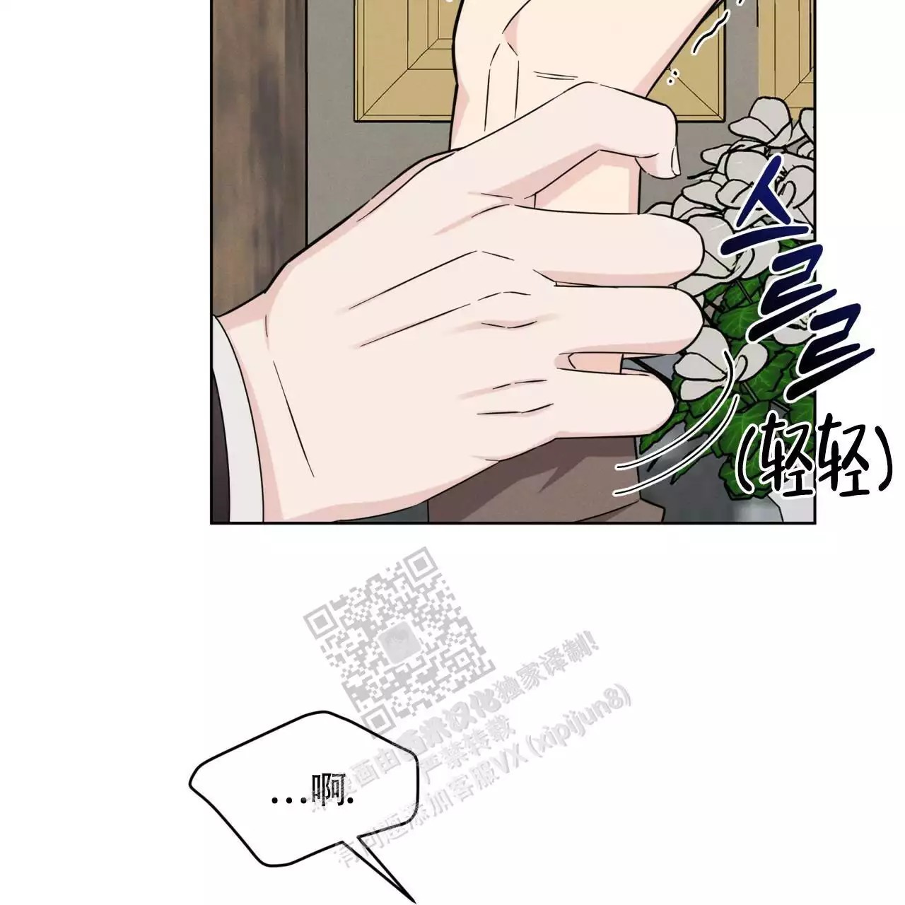 91.jpg