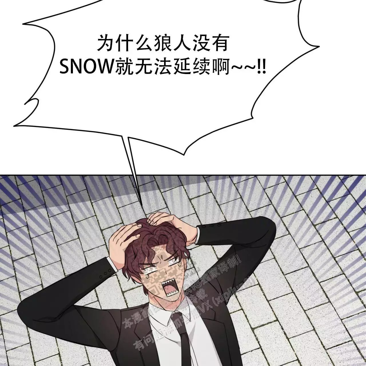 95.jpg