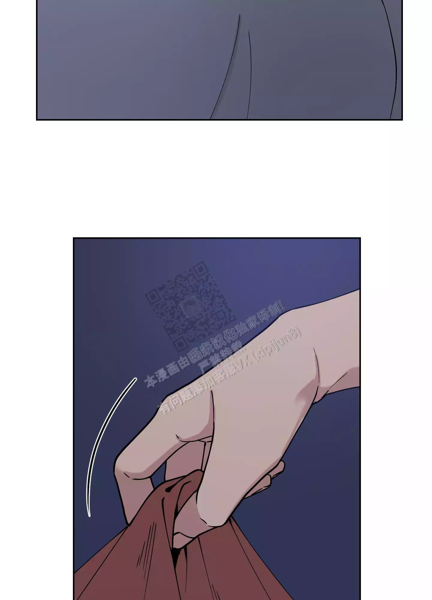 41.jpg