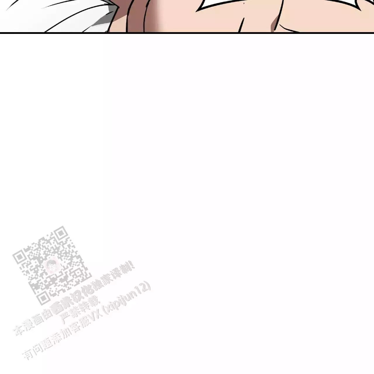 47.jpg