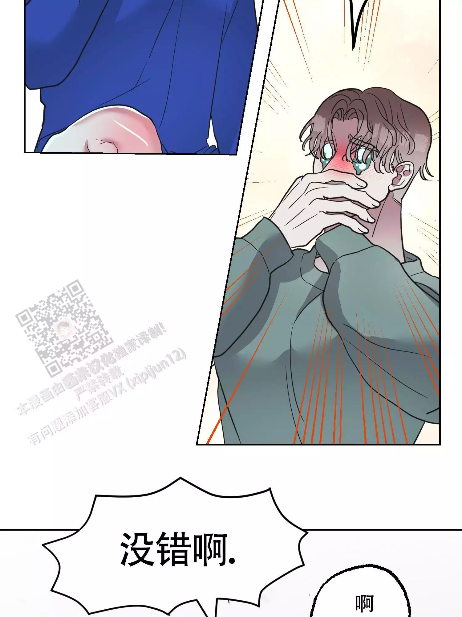31.jpg