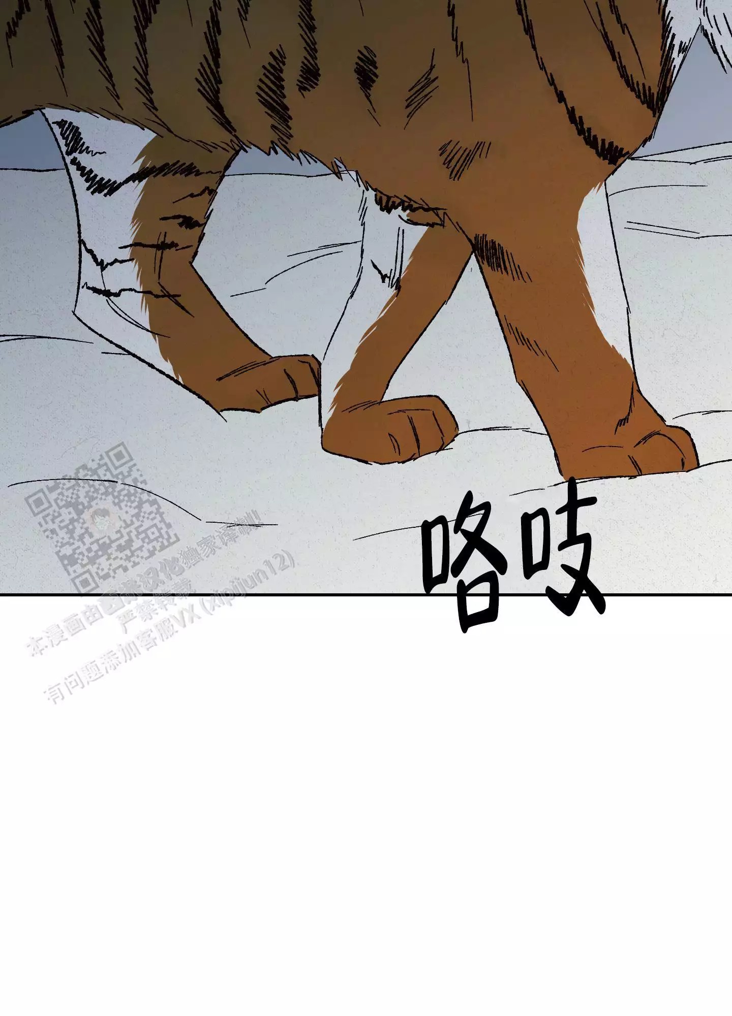 37.jpg