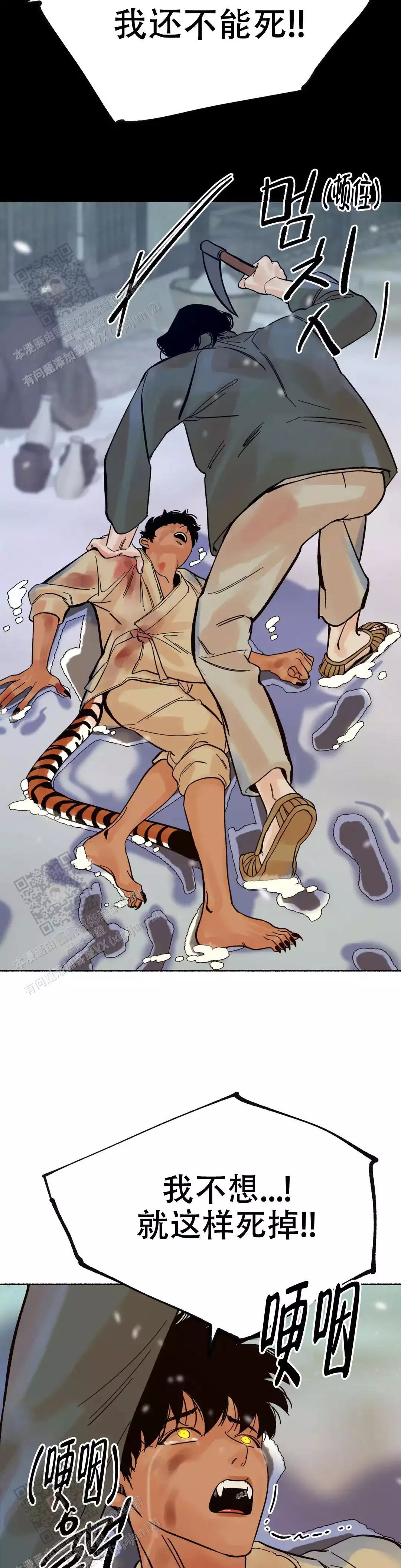 11.jpg