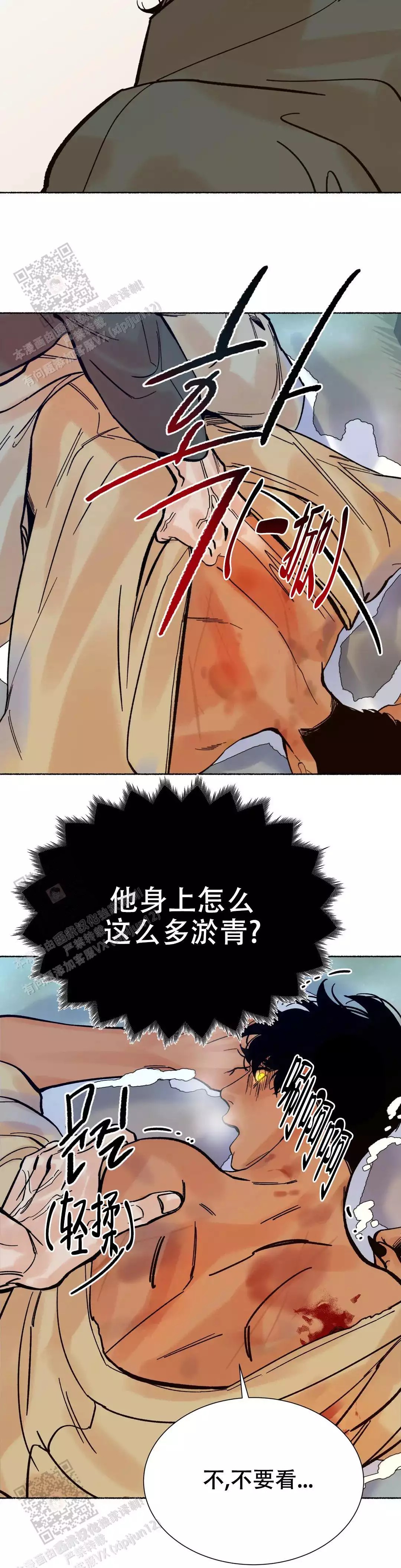 12.jpg