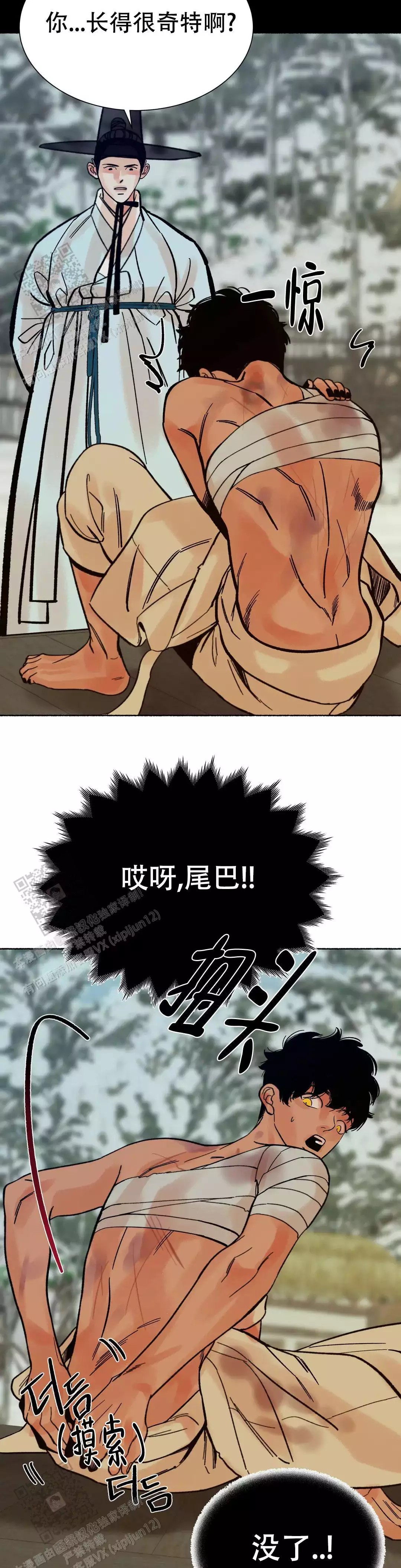 11.jpg