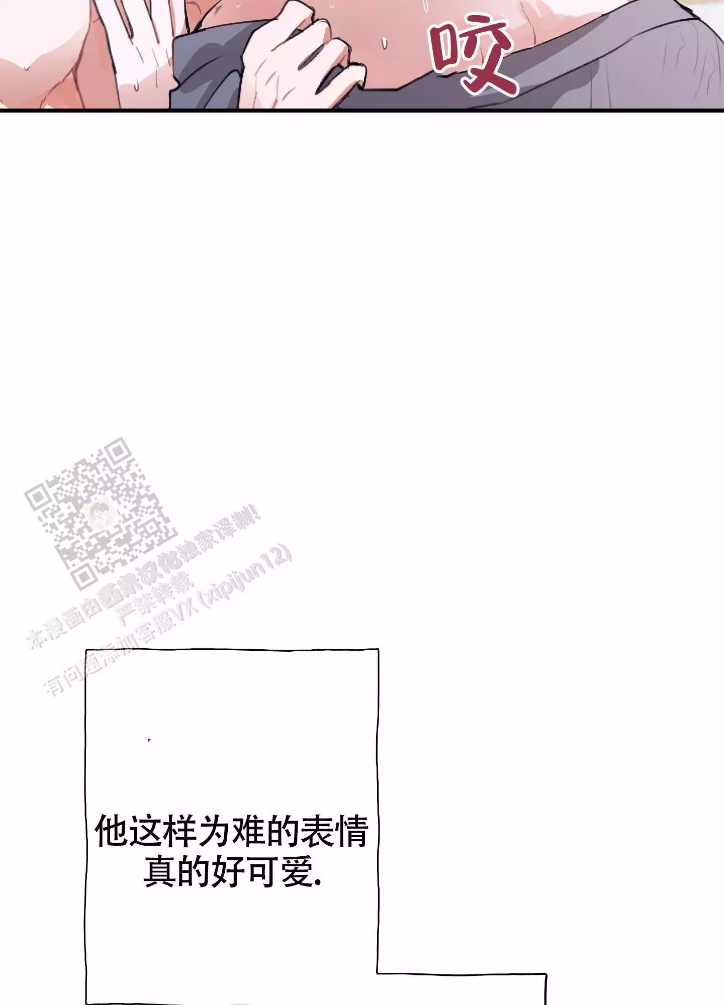 19.jpg