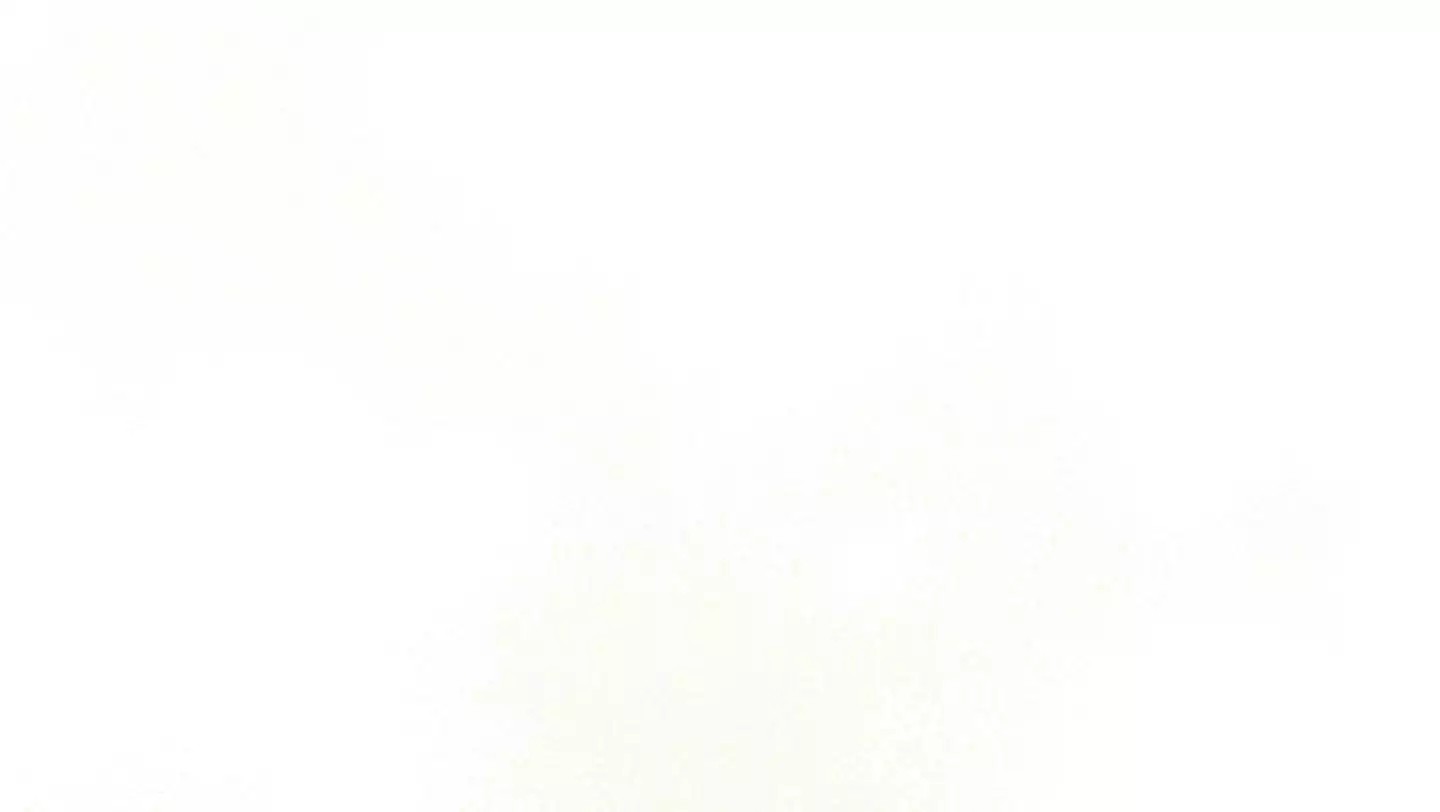47.jpg