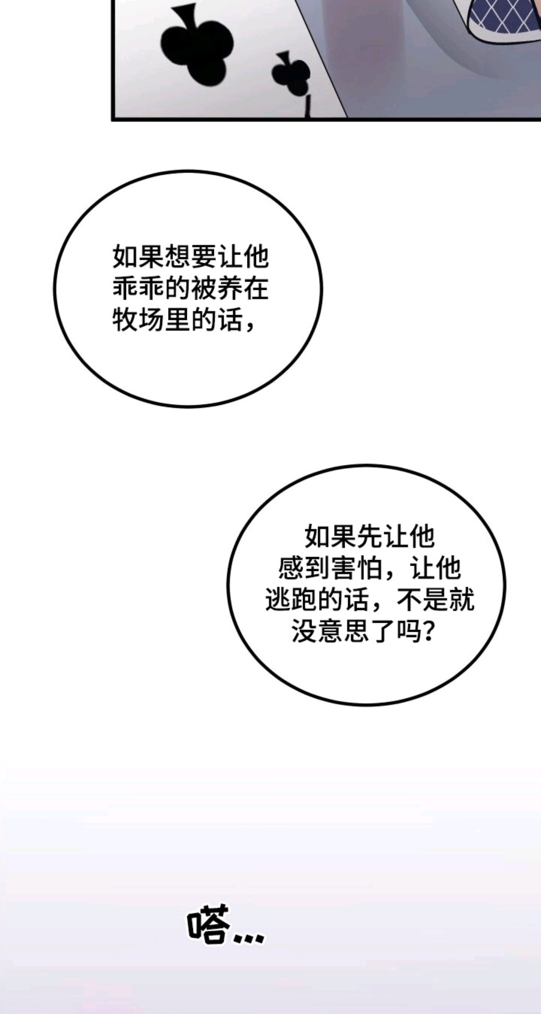 14.jpg