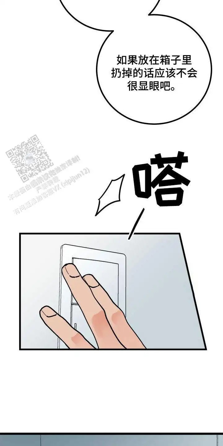 24.jpg